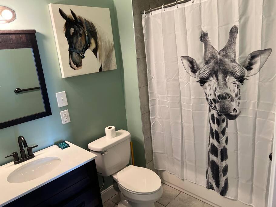 Chilled Pad 2 Blocks From The French Quarters Appartement New Orleans Buitenkant foto